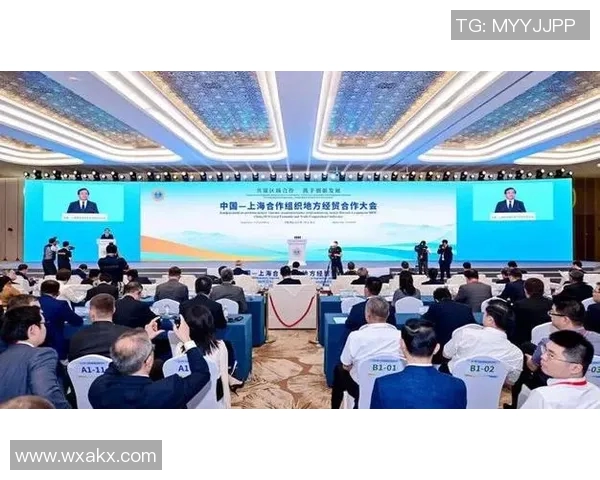 聚焦全球合作与发展探讨新时代外交战略与国际关系的变革与挑战