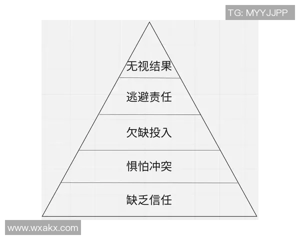 西安羽毛球队的团队协作与战术配合深度分析与探讨